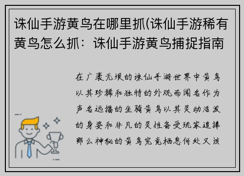 诛仙手游黄鸟在哪里抓(诛仙手游稀有黄鸟怎么抓：诛仙手游黄鸟捕捉指南：秘境栖息地大揭秘)